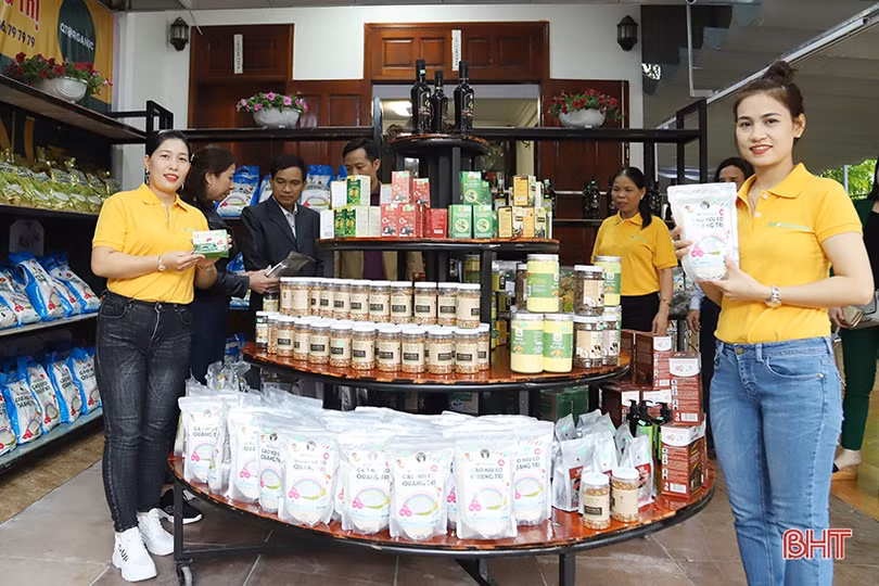 Gạo hữu cơ QTOrganic chính thức phân phối độc quyền tại TP. Hà Tĩnh