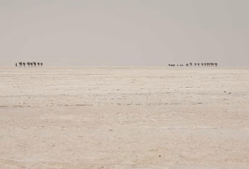 Chùm ảnh: Cuộc sống ở nơi nóng nhất hành tinh