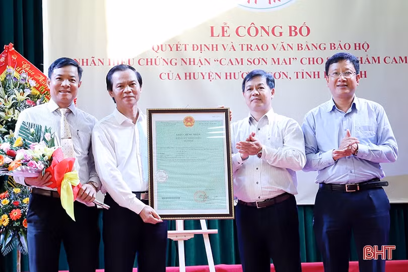 Trao văn bằng bảo hộ nhãn hiệu chứng nhận “Cam Sơn Mai”