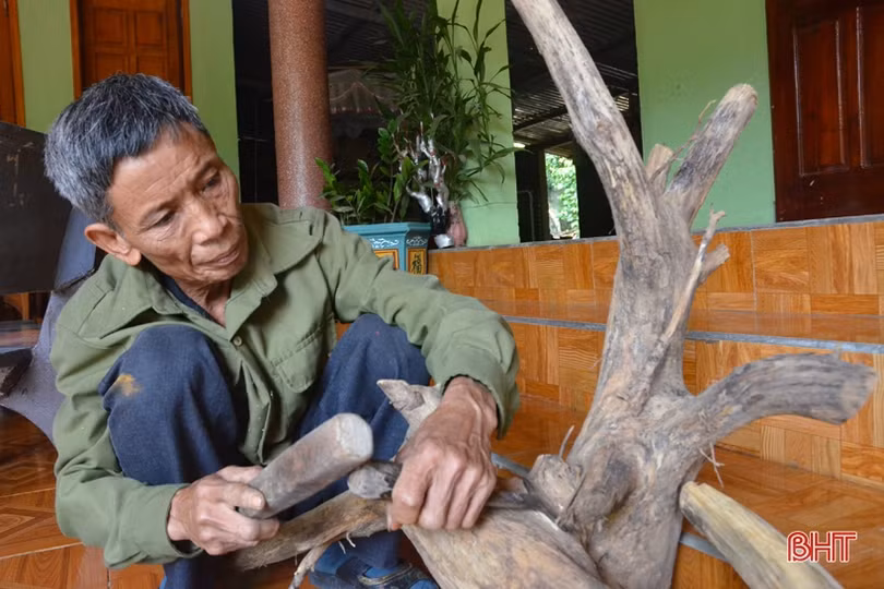 Ngỡ ngàng với khu vườn nghệ thuật của “nghệ nhân” nông dân Hà Tĩnh