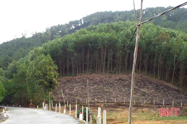 Nguy cơ mất an toàn khi công tơ điện mắc vào tường rào, cọc tiêu ở Can Lộc