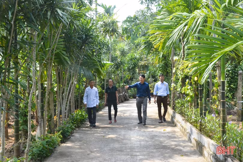 Ngỡ ngàng với khu vườn nghệ thuật của “nghệ nhân” nông dân Hà Tĩnh