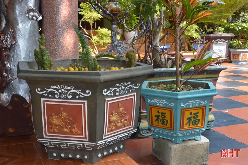 Ngỡ ngàng với khu vườn nghệ thuật của “nghệ nhân” nông dân Hà Tĩnh