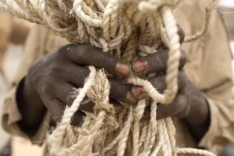 Chùm ảnh: Cuộc sống ở nơi nóng nhất hành tinh