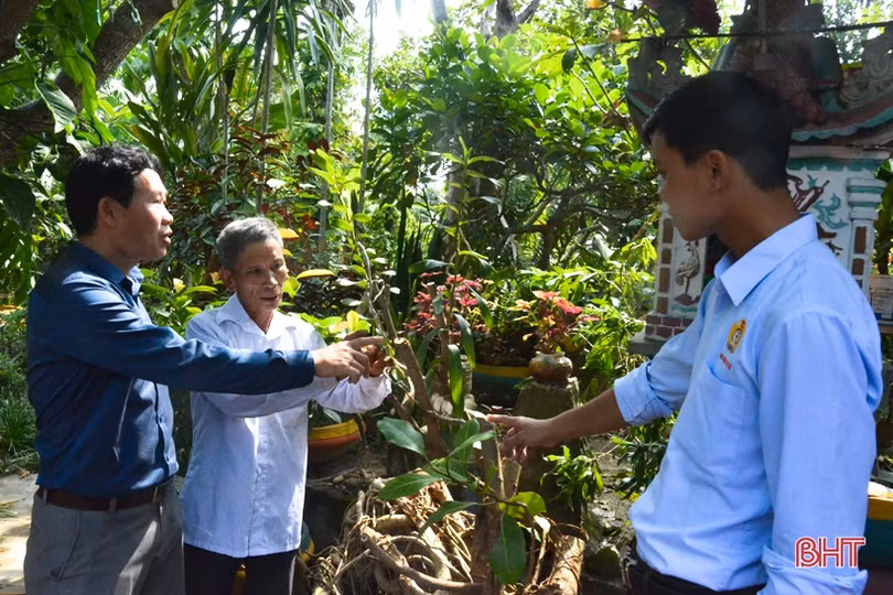 Ngỡ ngàng với khu vườn nghệ thuật của “nghệ nhân” nông dân Hà Tĩnh