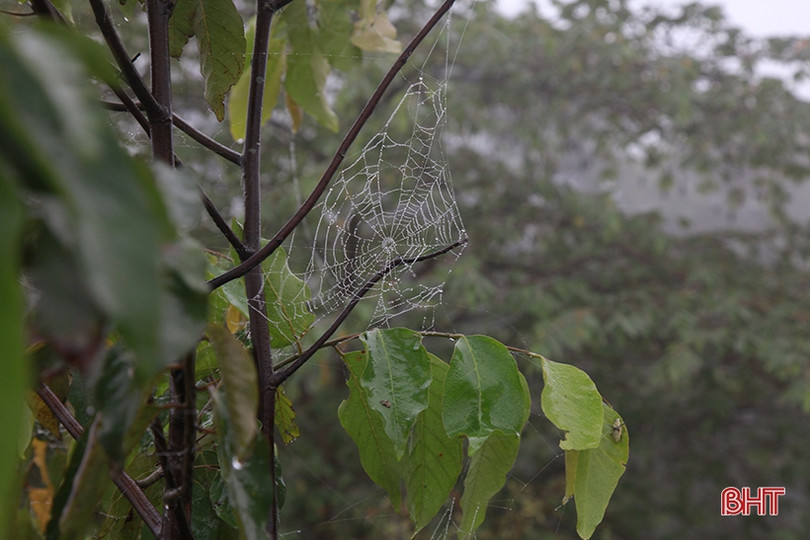 Hà Tĩnh lãng đãng như Đà Lạt khi sương mù dày đặc phủ kín mọi ngả đường
