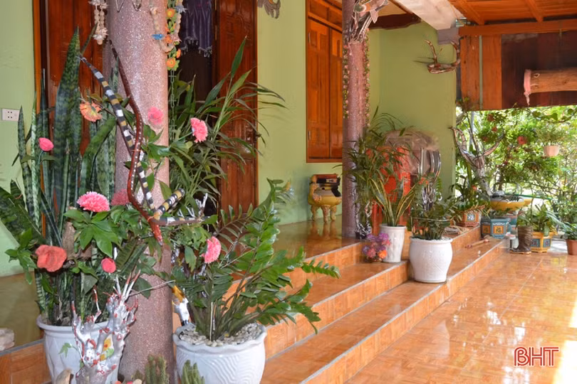 Ngỡ ngàng với khu vườn nghệ thuật của “nghệ nhân” nông dân Hà Tĩnh