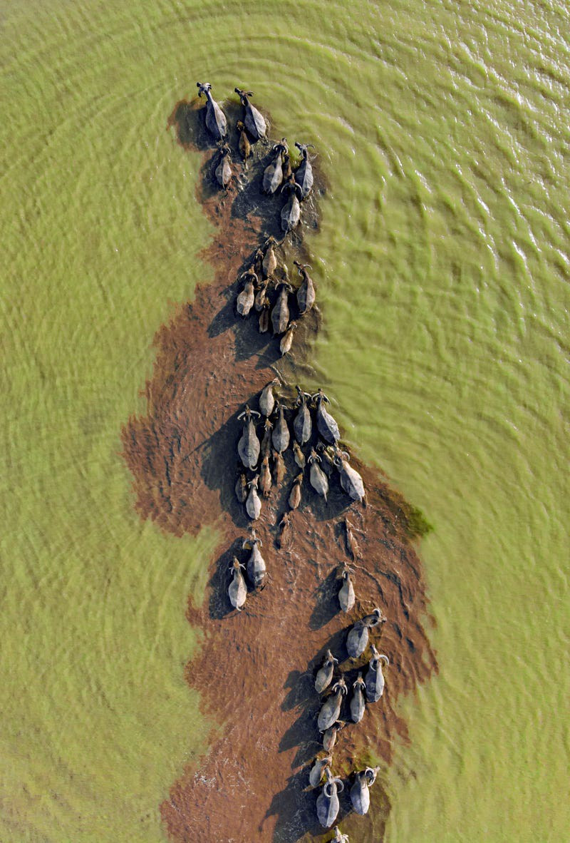 4 hình chụp Việt Nam vào top ảnh đẹp nhất thế giới