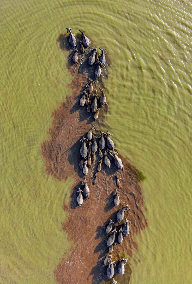 4 hình chụp Việt Nam vào top ảnh đẹp nhất thế giới