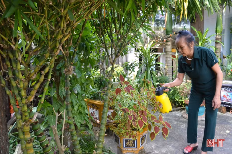 Ngỡ ngàng với khu vườn nghệ thuật của “nghệ nhân” nông dân Hà Tĩnh