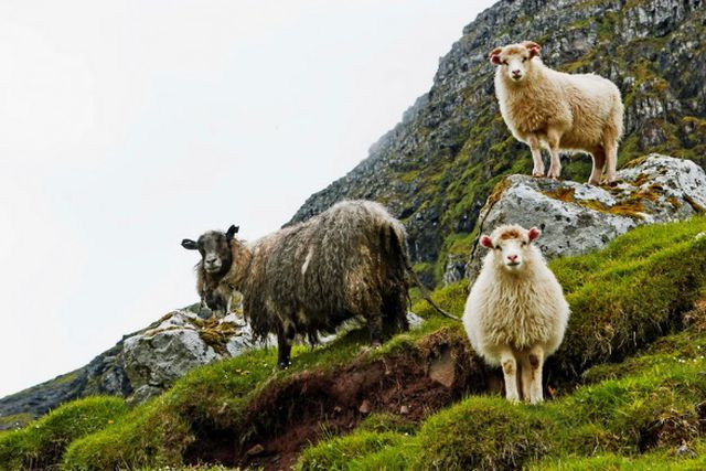 Kỳ lạ hòn đảo “đội mây” nằm giữa đại dương