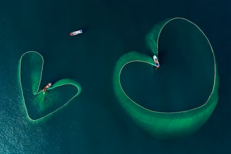 Nhiếp ảnh gia chụp thế giới hoang dã ở Phần Lan đẹp như cổ tích