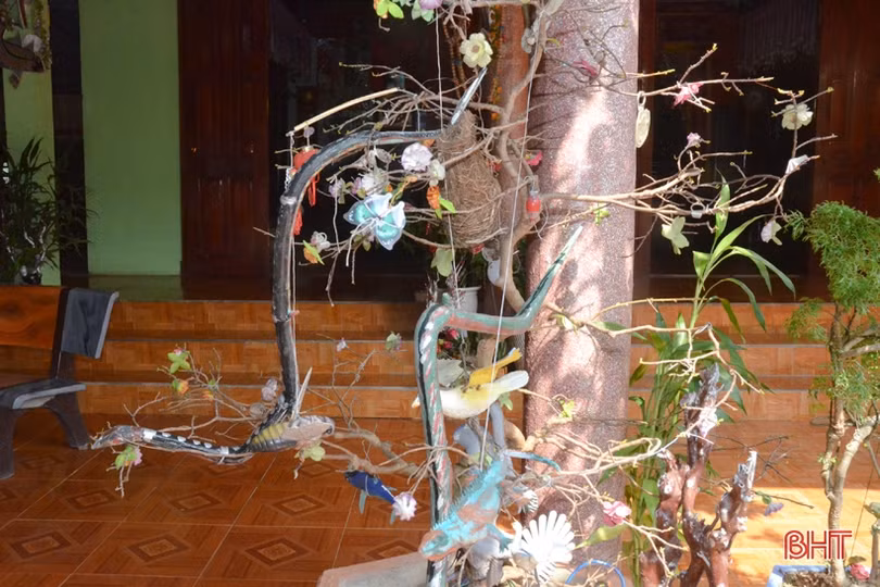 Ngỡ ngàng với khu vườn nghệ thuật của “nghệ nhân” nông dân Hà Tĩnh