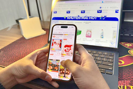 Người dân Hà Tĩnh “rục rịch” sắm Tết online