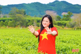 Check-in đồi chè xanh mát ở phía tây Hà Tĩnh