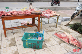 Thu giữ 116kg thịt lợn không rõ nguồn gốc xuất xứ