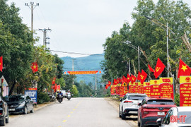 Làng quê Hà Tĩnh "khoác áo mới" đón Xuân Bính Ngọ