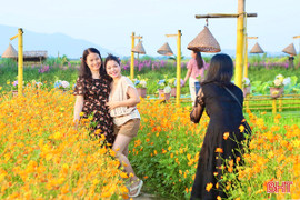 Hàng nghìn du khách chọn du lịch trải nghiệm thôn quê tại TP Hà Tĩnh 