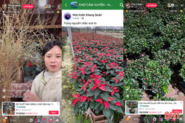 Nhà vườn "bắt trend", chợ hoa Tết online sôi động