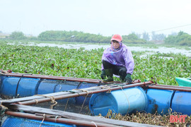 Người nuôi trồng thủy sản Hà Tĩnh khẩn trương gia cố lồng bè trước mưa bão