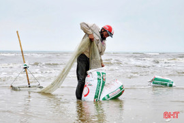Ốc tép dạt vào bờ, ngư dân Hà Tĩnh phấn khởi thu "lộc biển" 