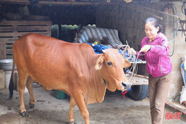 Kịp thời trao "cần câu" cho nhiều hoàn cảnh khó khăn ở Đức Thọ