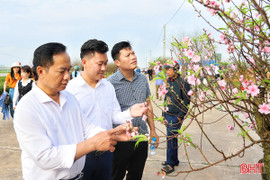Độc đáo Hội thi Hoa đào đẹp ở "thủ phủ" đào phai lớn nhất Hà Tĩnh 
