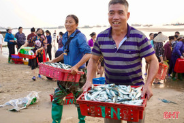 Ngư dân bám biển cung ứng hải sản tươi ngon dịp lễ