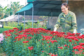 Khám phá làng hoa mới nổi ở Hà Tĩnh