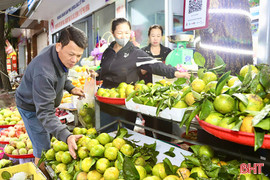 Cam chanh đầu mùa “xuống phố”