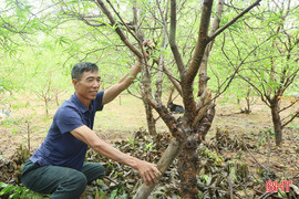 Người dân các địa bàn phía Nam Hà Tĩnh nhanh tay ứng phó với mưa bão