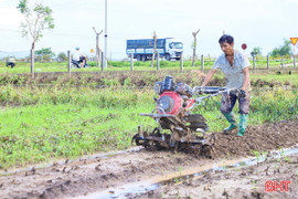 Tranh thủ nắng ráo, nông dân tập trung khôi phục sản xuất