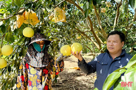 Phát triển nông nghiệp thích ứng với biến đổi khí hậu