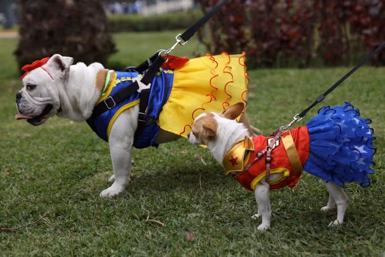 khong khi le hoi halloween o khap noi tren the gioi