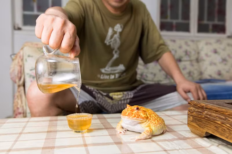 nhiep anh gia viet doat giai nhat cuoc thi anh quoc te ve moi truong