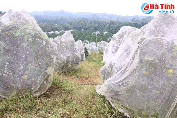 vua cam mach nuoc nguoi tieu dung chon dung cam khe may