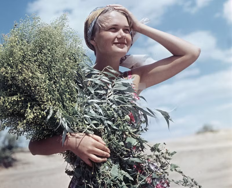 ly tuong cao dep cua cach mang thang muoi nga van co vu nhan loai huong toi tuong lai