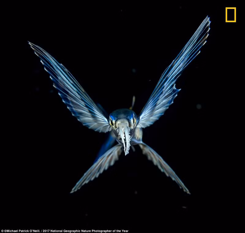 chiem nguong loat anh thien nhien tuyet dep