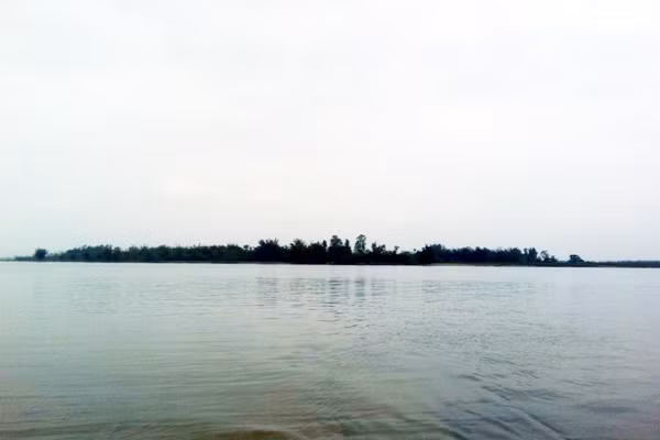 tap doan t t dau tu khu do thi sinh thai giai tri tren oc dao xuan giang