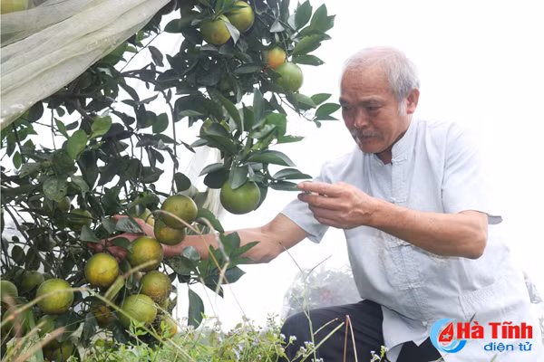 vua cam mach nuoc nguoi tieu dung chon dung cam khe may