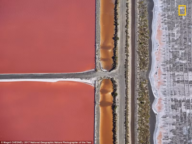 chiem nguong loat anh thien nhien tuyet dep