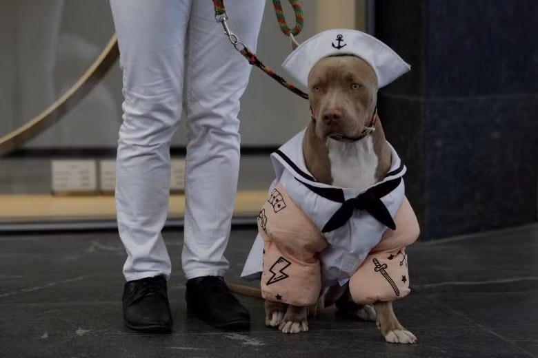 khong khi le hoi halloween o khap noi tren the gioi