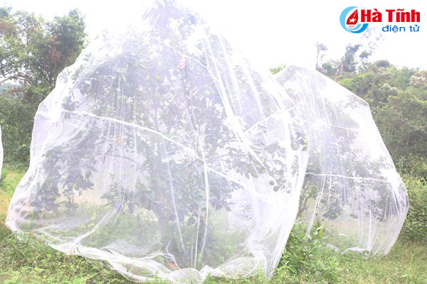 vua cam mach nuoc nguoi tieu dung chon dung cam khe may
