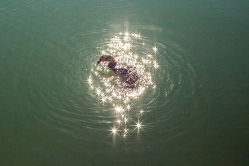 nhung hinh anh trung hop den kho tin