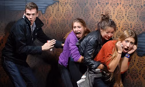 Cảm giác tích cực có thể "lây" khi cùng trải nghiệm nỗi sợ với người khác. Ảnh: Pinterest. ly do nhieu nguoi phan khich voi noi so ma quy