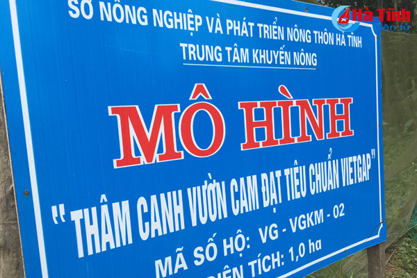 vua cam mach nuoc nguoi tieu dung chon dung cam khe may