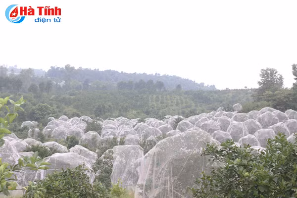 vua cam mach nuoc nguoi tieu dung chon dung cam khe may