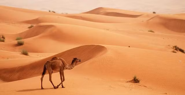 8 dia diem chup anh cau like dep nhat dubai