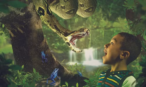 Phản ứng sợ hãi bắt nguồn từ não, sau đó lan ra khắp cơ thể. Ảnh: BN1 Magazine. ly do nhieu nguoi phan khich voi noi so ma quy