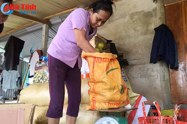 vua cam mach nuoc nguoi tieu dung chon dung cam khe may